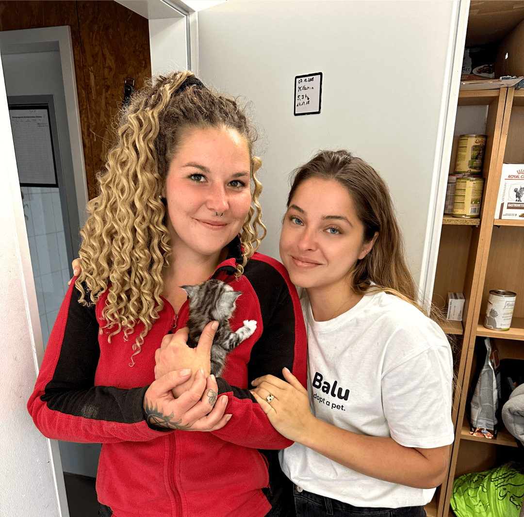 Colorful abstract pattern background